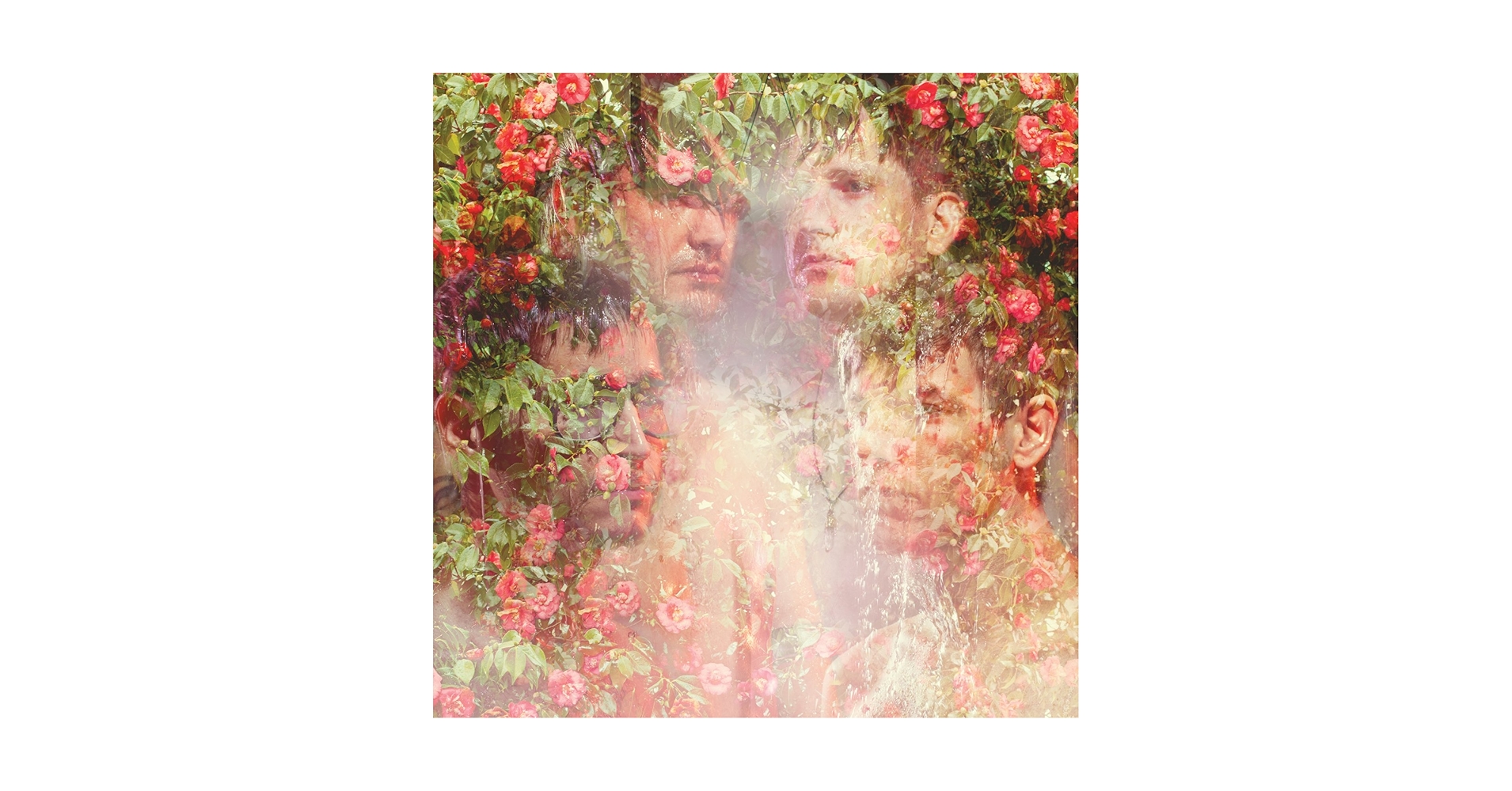 日本盤CD♪メンバー全員の直筆サイン入りSTRFKR Miracle Mile 日本盤CD♪メンバー全員の直筆サイン入りSTRFKR Miracle Mile